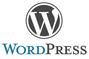 Actualizar WordPress 1