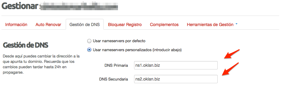 gestion-dns-2